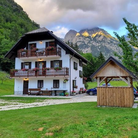 Apartments And Rooms Kravanja Trenta Bagian luar foto