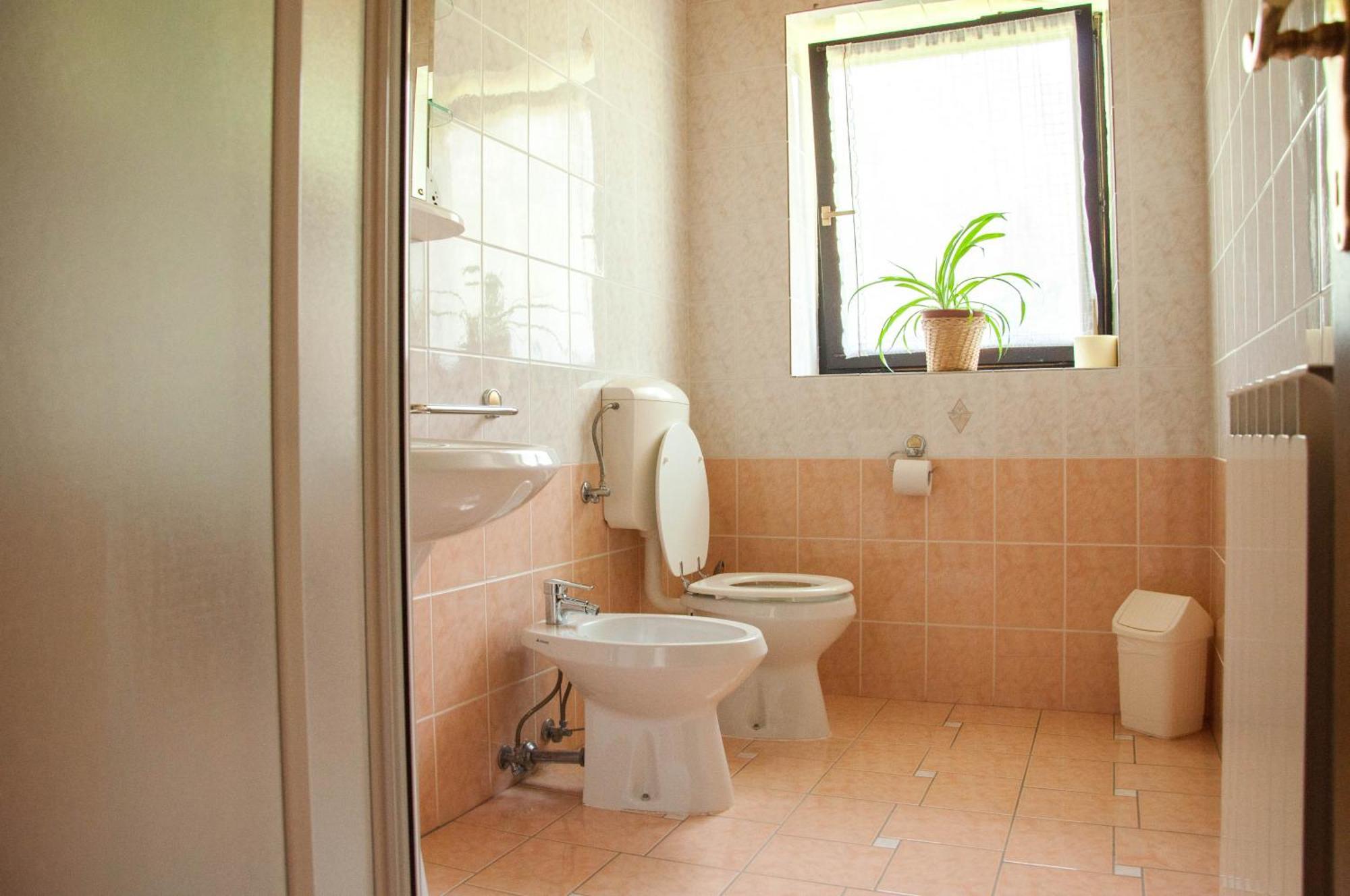 Apartments And Rooms Kravanja Trenta Bagian luar foto