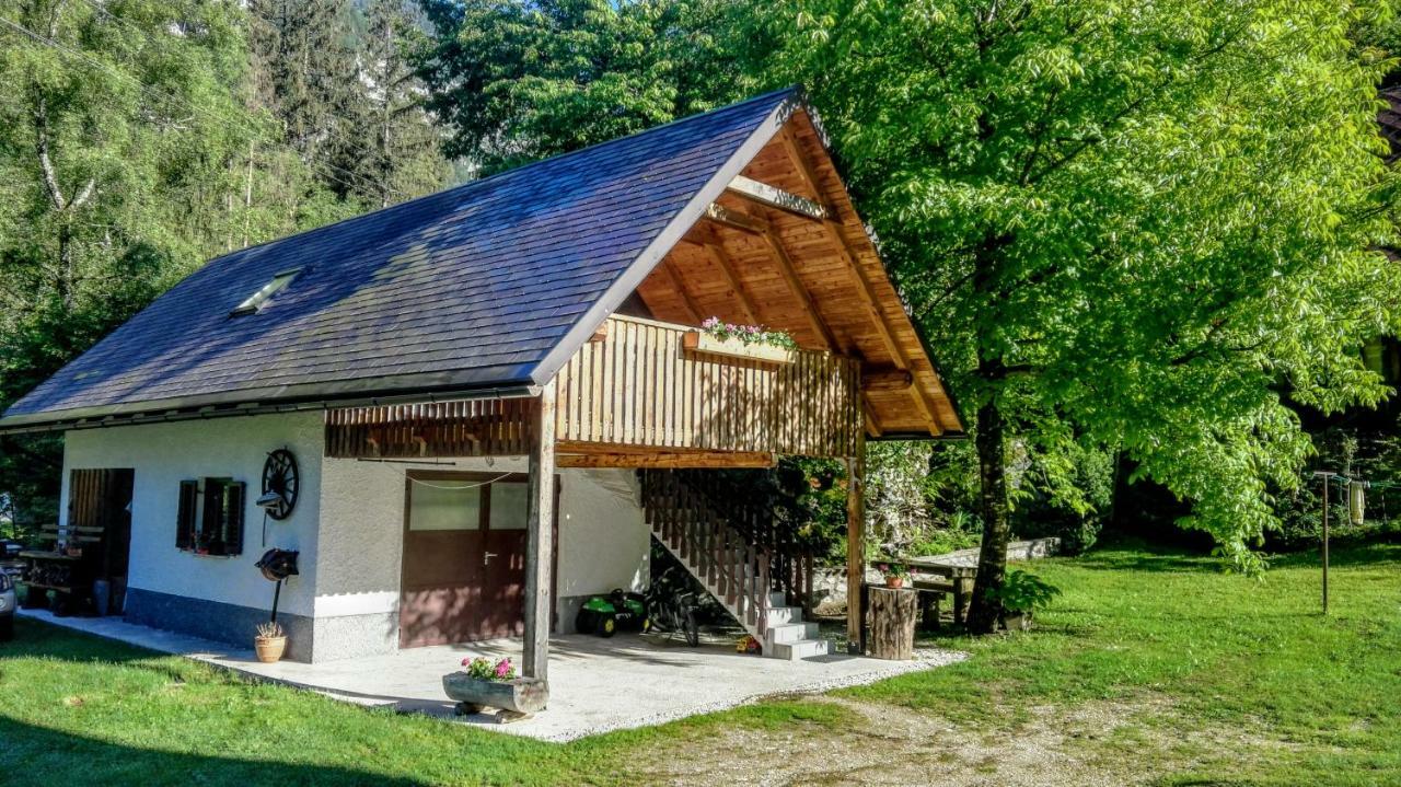 Apartments And Rooms Kravanja Trenta Bagian luar foto